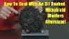 How To Deal With An Oil Soaked Mitsubishi Alternator 1 Of A 3 Part Series With Mpa Wrenchin Up